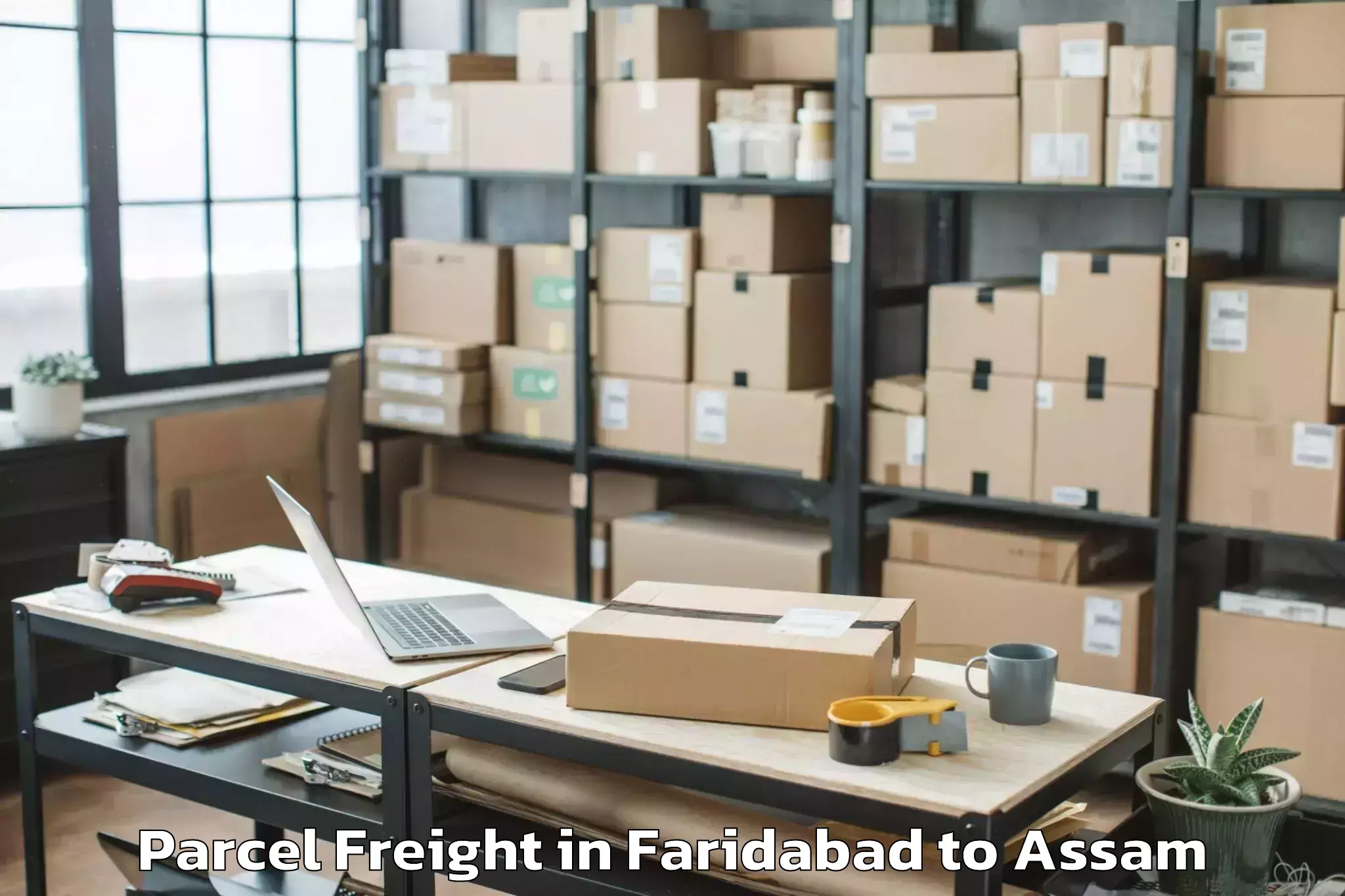 Easy Faridabad to Baihata Chariali Parcel Freight Booking